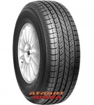 Купить Легкова шина Nexen Roadian 541