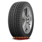 Купить Легкова шина Toyo Observe GSi-6 HP