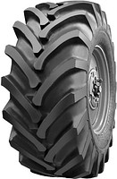 Купить Шина Алтайшина ИЯВ-79