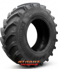 Купить Шина Bostone TR100