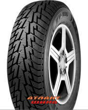 Купить Легкова шина Ecovision WV-186