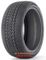 Купить Легкова шина Fronway IceMaster I