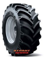 Купить Шина GoodYear R1-W