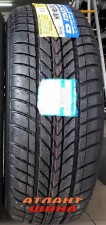 Купить Легкова шина Accelera Epsilon