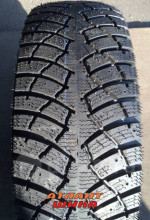 Купить Легкова шина Алтайшина WT 590