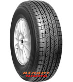 Купить Легкова шина Nexen Roadian 541