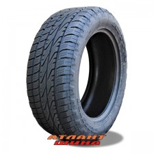 Купить Легкова шина Nitto Crosstek