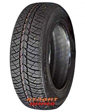 Купить Легкова шина Росава WQ-101