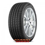 Купить Легкова шина Michelin Primacy MXM4 ZP (RunFlat)