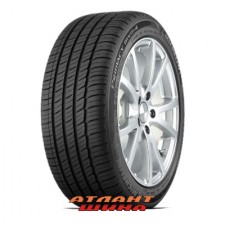 Купить Легкова шина Michelin Primacy MXM4 ZP (RunFlat)