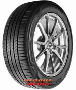 Купить Легкова шина Nexen Roadian GTX