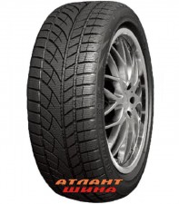 Купить Легкова шина RoadX RX Frost WU01