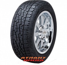 Купить Легкова шина Roadstone Roadian AT Pro RA8