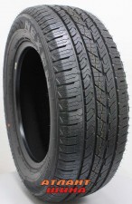 Купить Легкова шина Roadstone Roadian HTX RH5