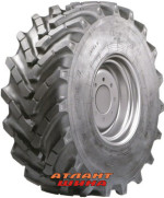 Купить Шина Росава Ф-37