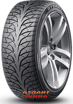 Купить Легкова шина Rydanz Nordica NR01