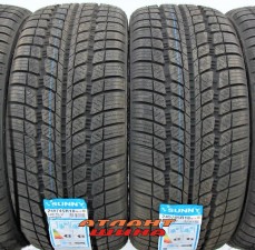 Купить Легкова шина Sunny SN3830