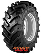 Купить Шина Trelleborg TM1000 PT