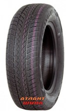 Купить Легкова шина Triangle WinterX TW401
