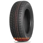 Купить Легкова шина Tunga Zodiak 2