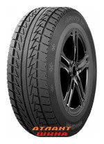 Купить Легкова шина Arivo Winmaster ARW1