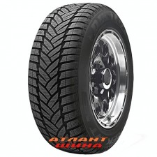 Купить Легкова шина Dunlop Grandtrek WT M3