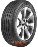 Купить Легкова шина Dunlop GrandTrek Touring A/S